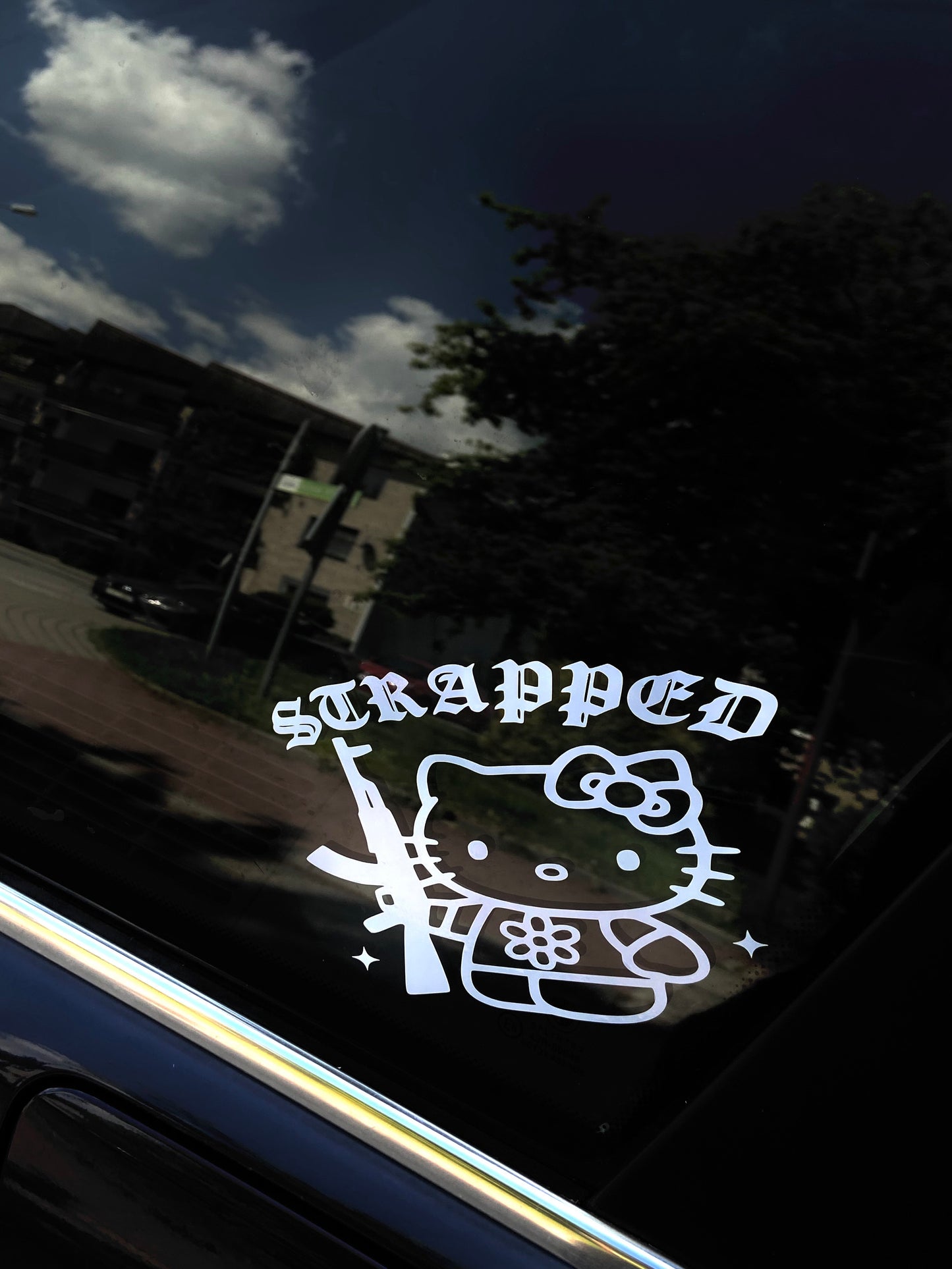 Hello Strapped Kitty