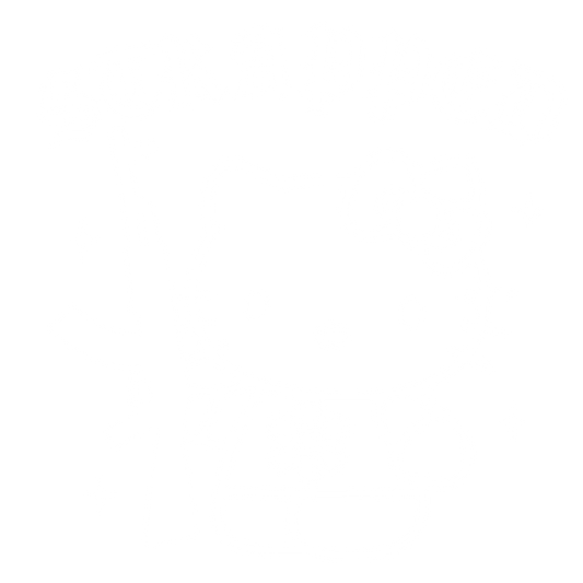 Hello Strapped Kitty
